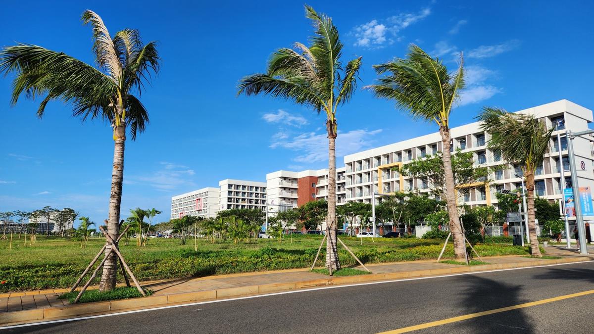 Пальмы у корпуса